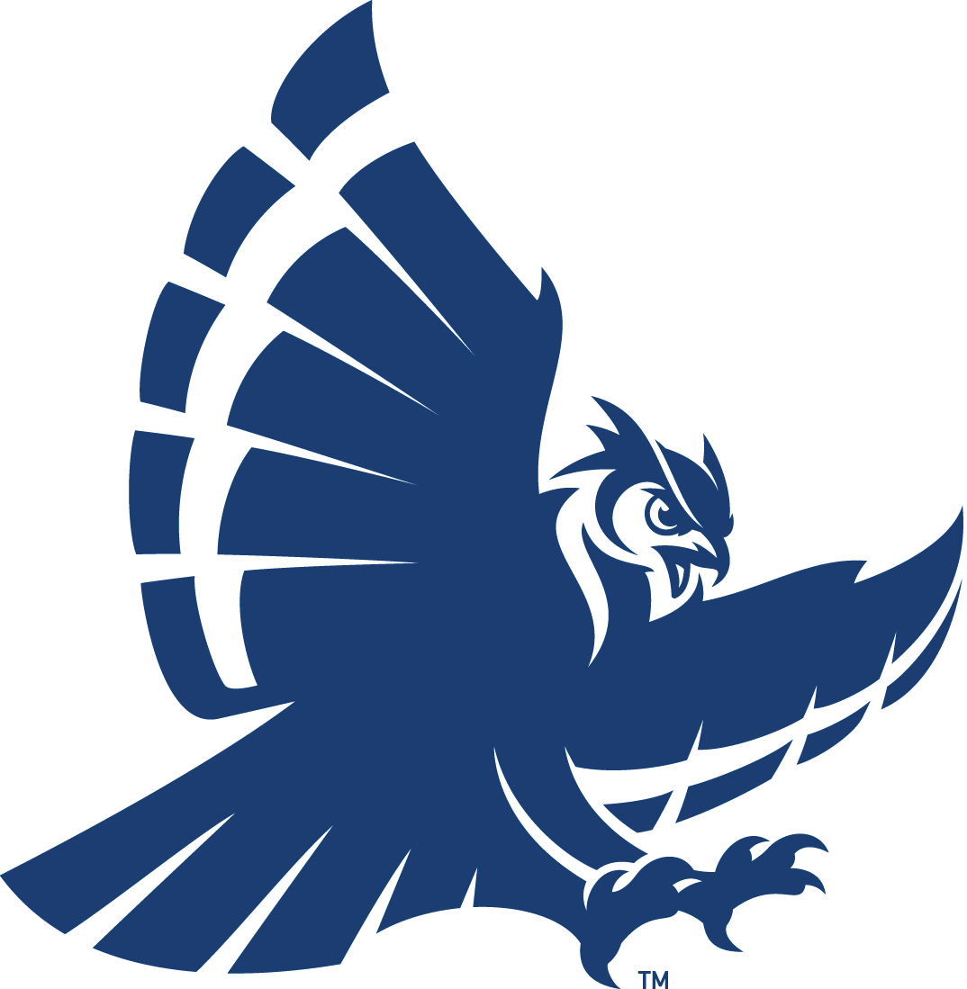 Rice Owls 2017-Pres Secondary Logo v2 t shirts iron on transfers